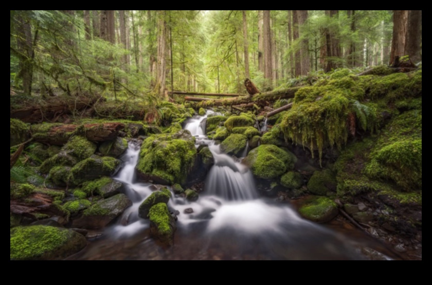 Μαγευτικές προοπτικές Μια συλλογή από μαγευτικά τοπία 4 Enchanting Perspectives: Μια συλλογή από μαγευτικά τοπία