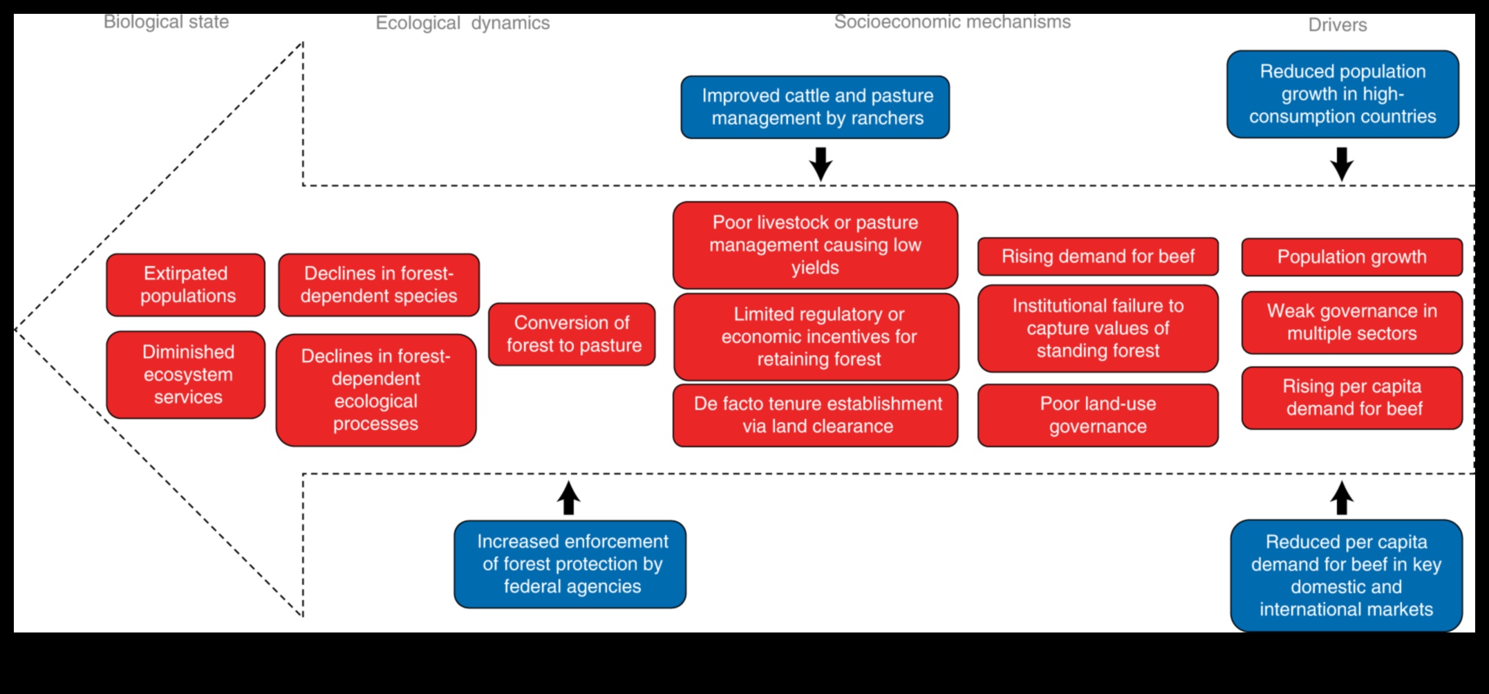 Εξερευνώντας τα όρια της βιοποικιλότητας 5 Σύνορα Βιοποικιλότητας II: Συνεχίζεται η αποκάλυψη Περιοχών Διατήρησης Παγκοσμίως