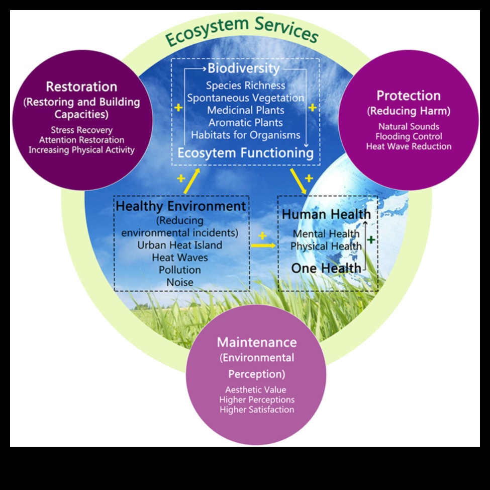 Εξερευνώντας τα όρια της βιοποικιλότητας 2 Σύνορα Βιοποικιλότητας II: Συνεχίζεται η αποκάλυψη Περιοχών Διατήρησης Παγκοσμίως