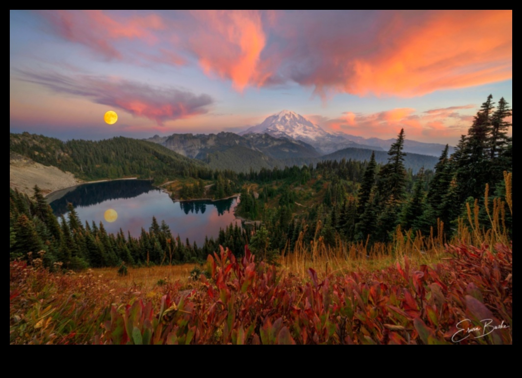 Ένας καμβάς των ονείρων: Εκφραστική φωτογραφία τοπίου που εμπνέει