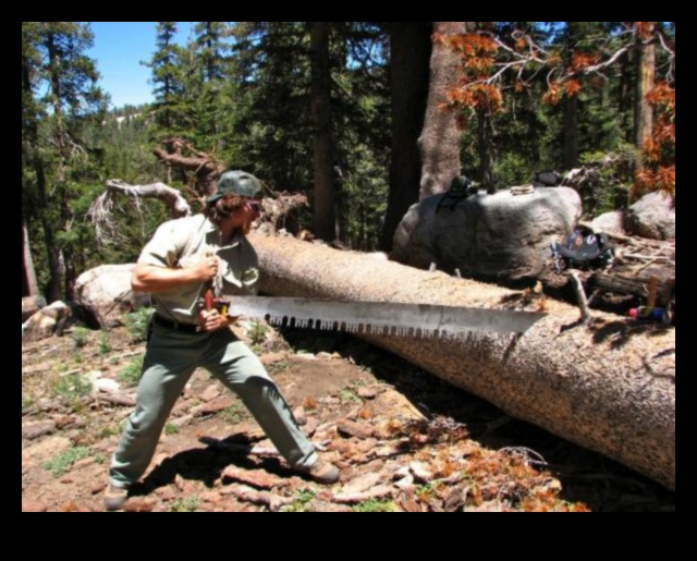 Get Buff in the Wild Ένας οδηγός για προπονήσεις στην άγρια φύση 2 Wilderness Workouts: Outdoor Exercises in Untamed Landscapes