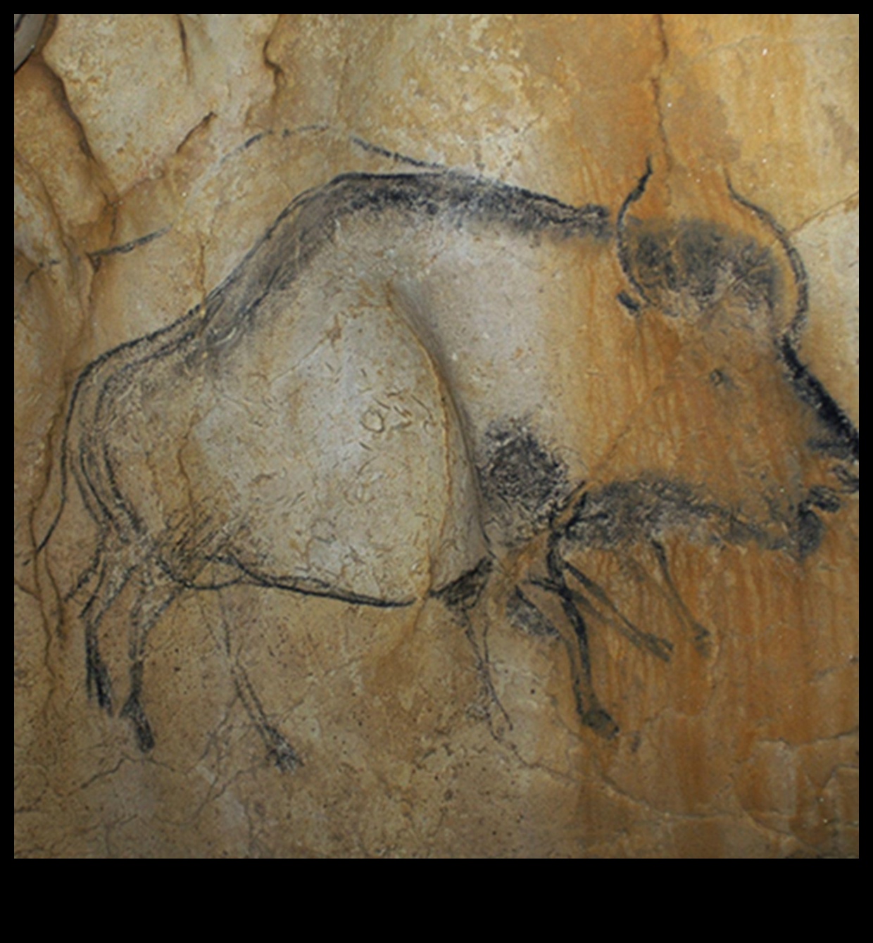 Bison and Beyond: Animals in Prehistoric Cave Paintings