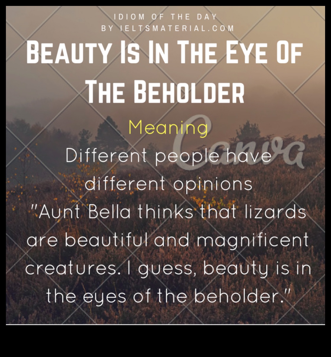 Η ομορφιά είναι στο μάτι του θεατή 5 Earth's Elegance: Ανακαλύπτοντας τη χαριτωμένη και διαχρονική ομορφιά σε τοπία