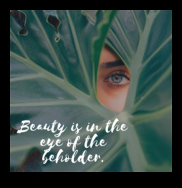 Η ομορφιά είναι στο μάτι του θεατή 3 Earth's Elegance: Ανακαλύπτοντας τη χαριτωμένη και διαχρονική ομορφιά σε τοπία