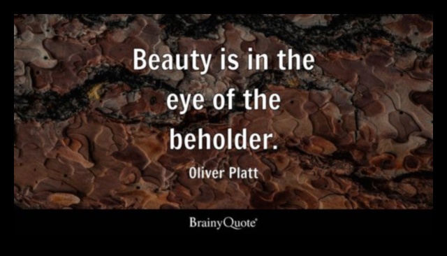 Η ομορφιά είναι στο μάτι του θεατή 2 Earth's Elegance: Ανακαλύπτοντας τη χαριτωμένη και διαχρονική ομορφιά σε τοπία