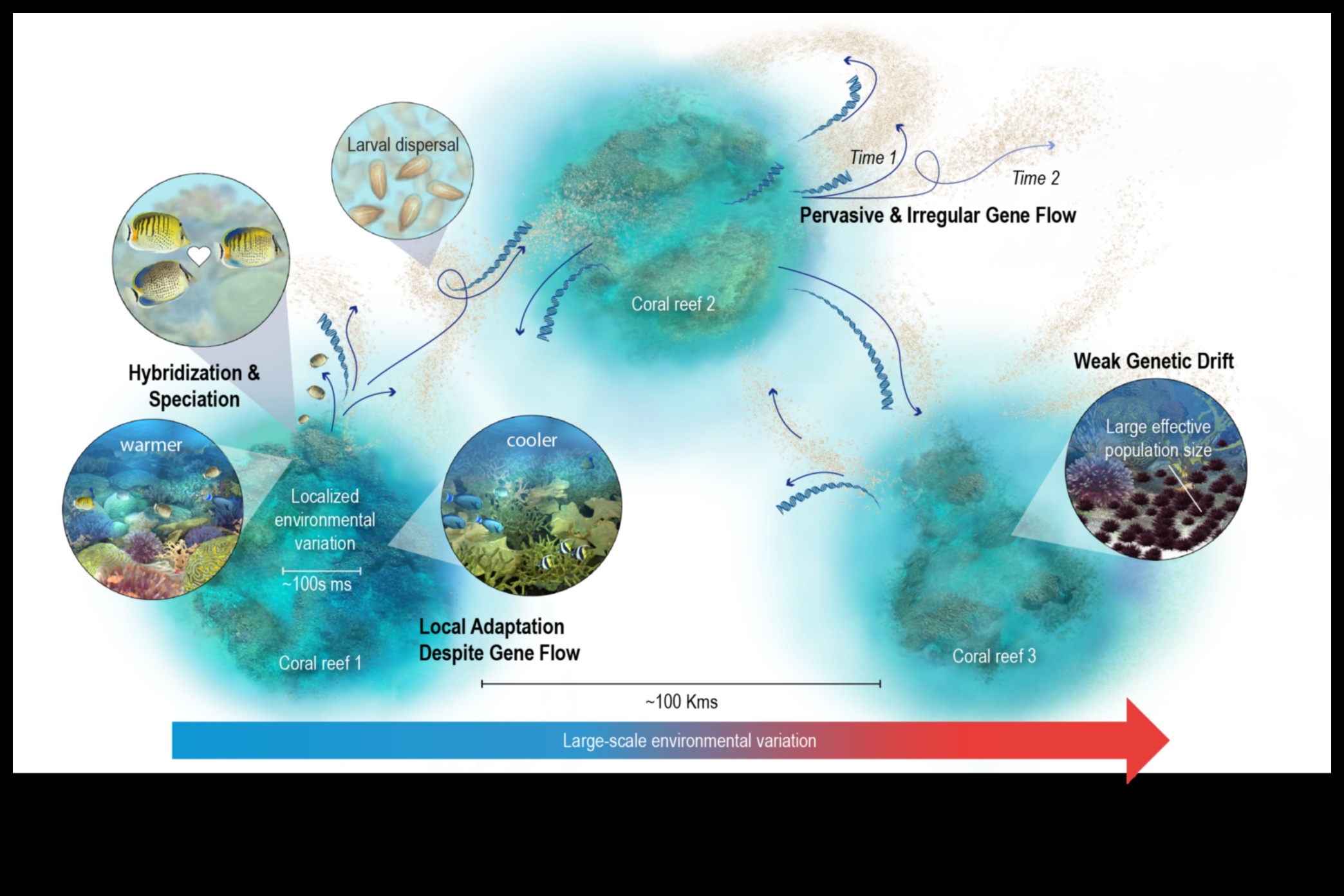 Επιστημονική Οπτικοποίηση: Δημιουργία Εικονογραφήσεων για Κατανόηση