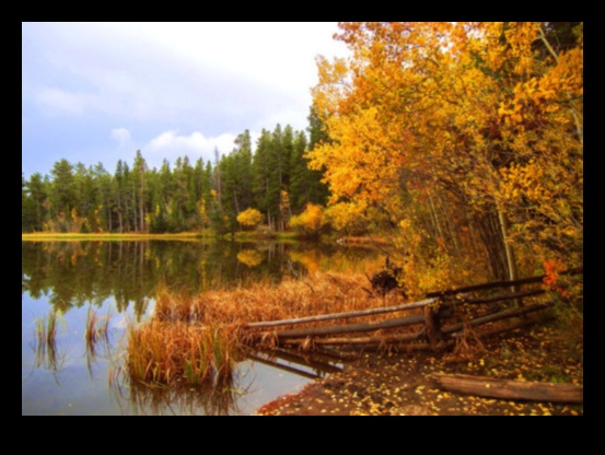 Γιατί ορισμένα τοπία προκαλούν μια αίσθηση νοσταλγίας;