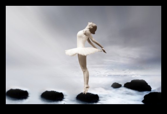 The Grace of Nature's Ballet 4 Nature's Ballet: Graceful Movements in Captivating Landscapes