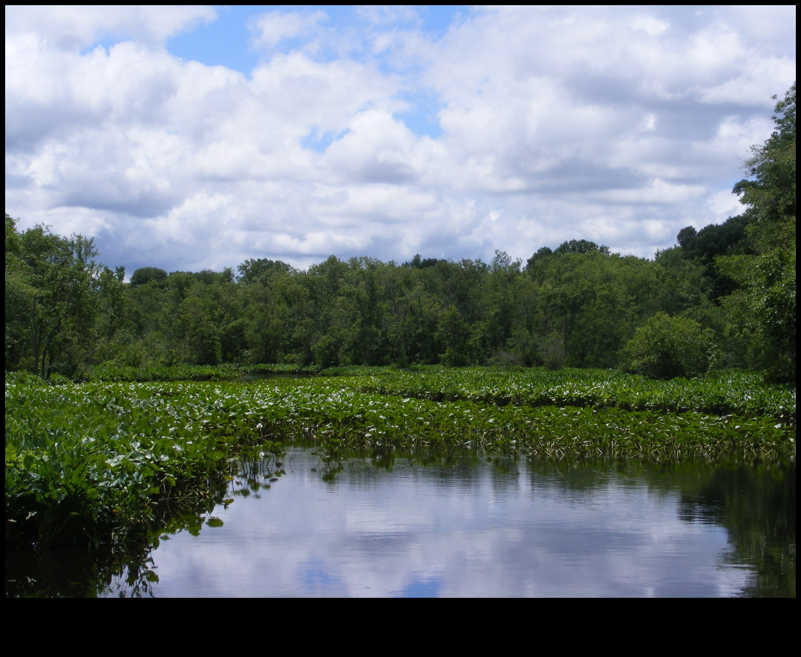 Αυτόχθονες Προοπτικές: Εξερευνώντας Φυλετικά Τοπία