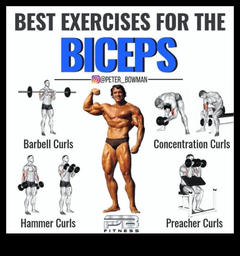 Bicep Blueprint: Χτίζοντας δύναμη μέσω προπονήσεων ακριβείας