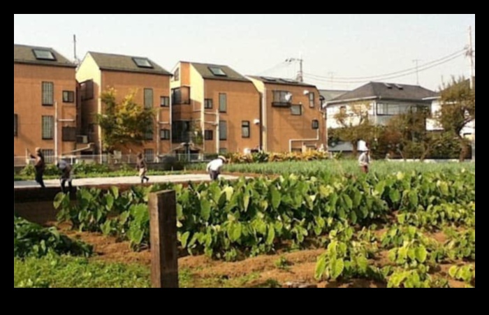 Ποια είναι τα χαρακτηριστικά ενός καλοσχεδιασμένου αστικού τοπίου;