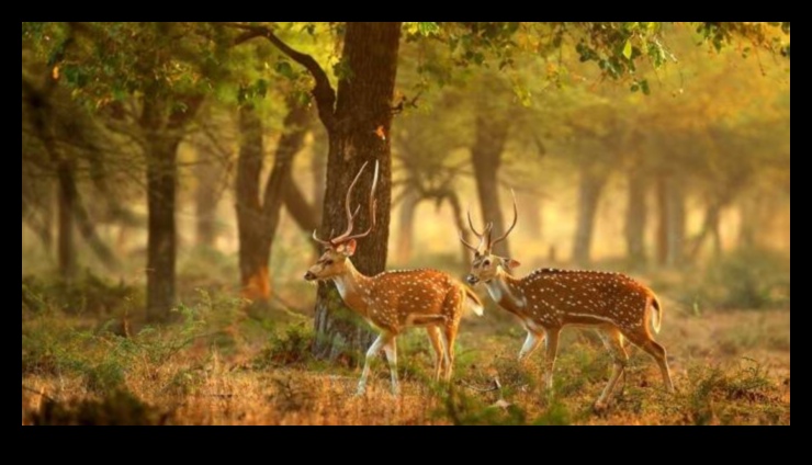 Τα Ιερά της Φύσης 12 Guardian Lands Revisited: Protected Natural Areas Worldwide