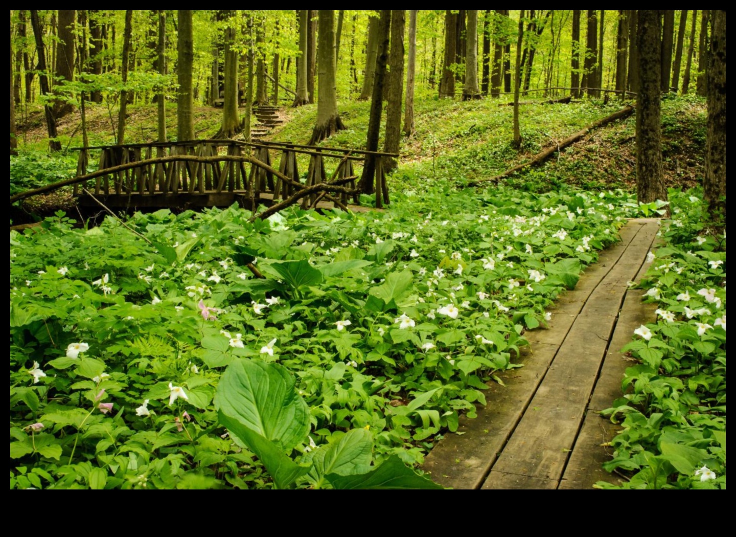 Nature's Sanctuaries 18 Προστατευμένοι Παράδεισος ΙΙ: Φυσικές Περιοχές Υπό Παγκόσμια Προστασία