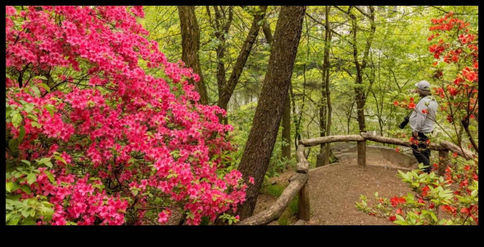 Τα Ιερά της Φύσης 14 Προστατευμένοι Παράδεισος ΙΙ: Φυσικές Περιοχές Υπό Παγκόσμια Προστασία