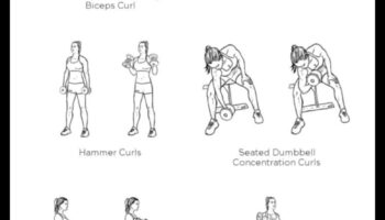 Bicep Blueprint: Χτίζοντας δύναμη μέσω προπονήσεων ακριβείας