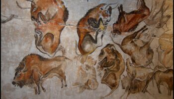 Bison and Beyond: Animals in Prehistoric Cave Paintings