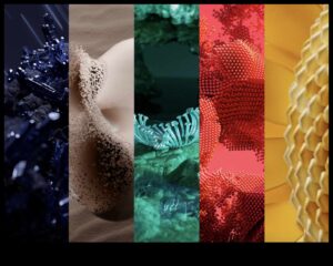 Τάσεις χρώματος μαλλιών 2025: Ρίξτε μια ματιά στο μέλλον του χρώματος