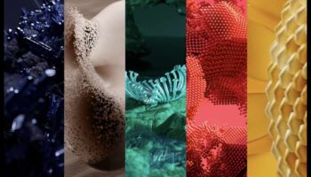 Τάσεις χρώματος μαλλιών 2025: Ρίξτε μια ματιά στο μέλλον του χρώματος