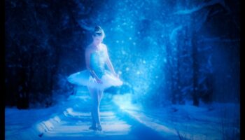 Nature's Ballet: Graceful Movements in Captivating Landscapes