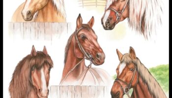 Whimsical Wonders: Δημιουργία παιχνιδιάρικων και ευφάνταστων οπτικών που απολαμβάνουν τις αισθήσεις