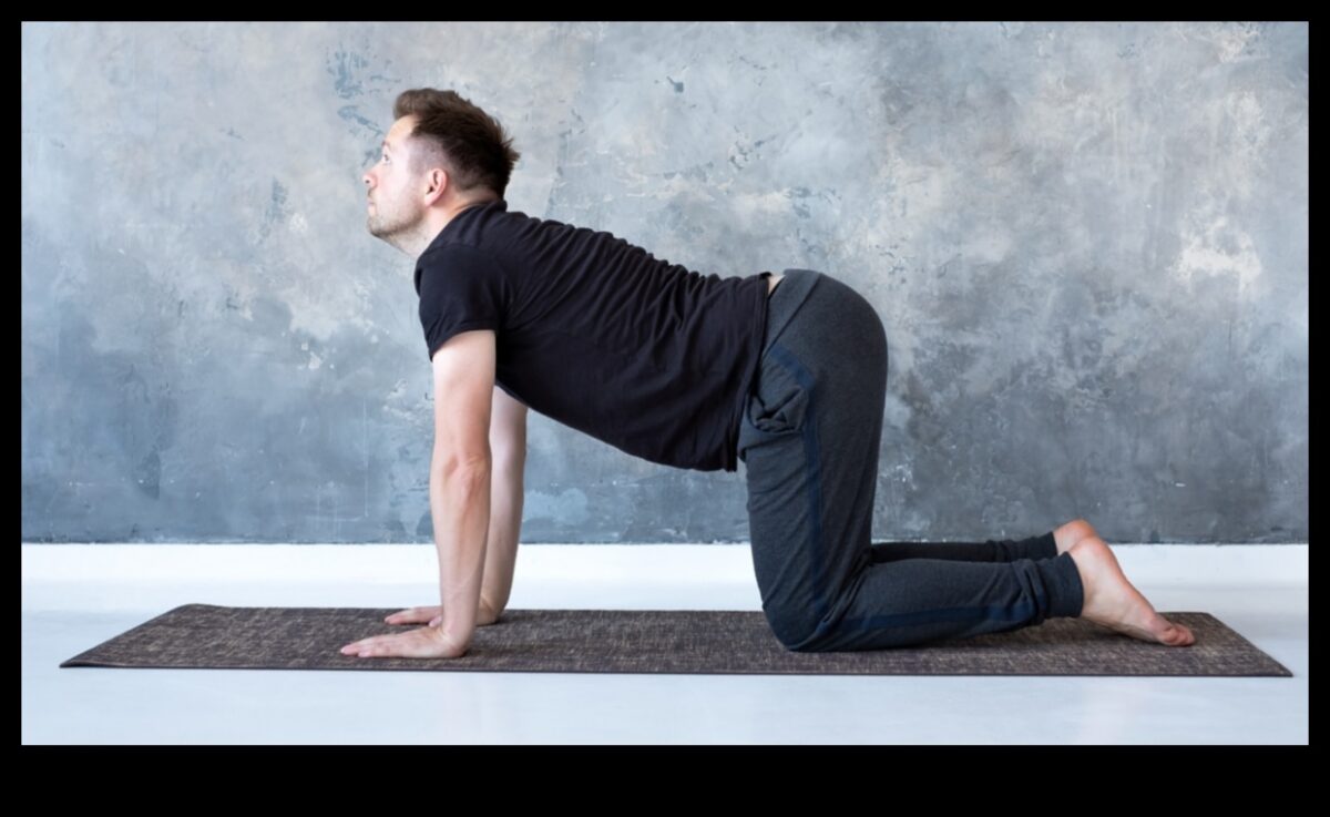 Yoga Symphony: Harmonizing Mind and Body in Fitness