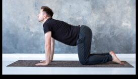 Yoga Symphony: Harmonizing Mind and Body in Fitness