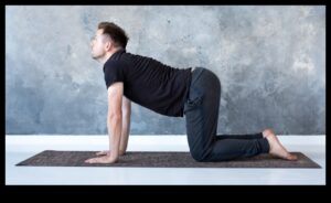 Yoga Symphony: Harmonizing Mind and Body in Fitness