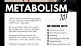 Εξοικείωση με τον μεταβολισμό: Πώς η άσκηση ενισχύει την καύση ενέργειας του σώματός σας