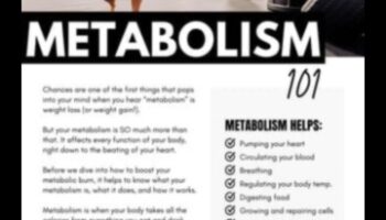 Εξοικείωση με τον μεταβολισμό: Πώς η άσκηση ενισχύει την καύση ενέργειας του σώματός σας