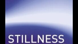 Stillness Speaks: The Language of Inanimate Beauty