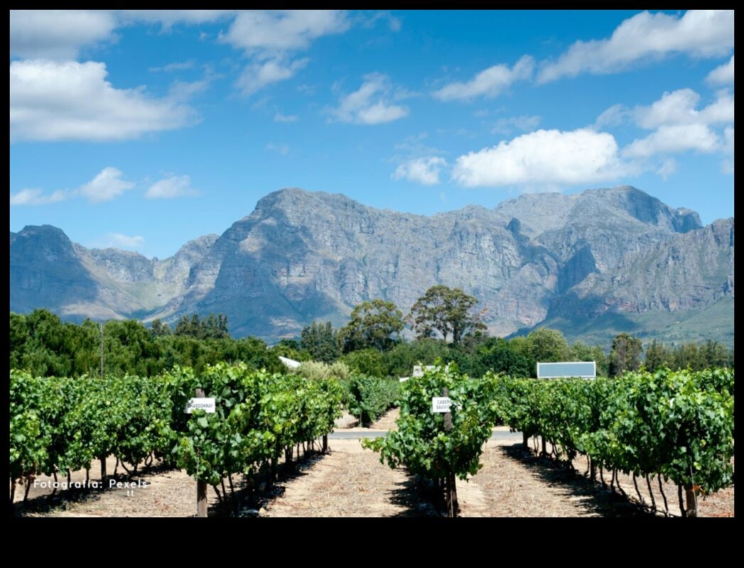 Πώς τα τοπία εμπνέουν και επηρεάζουν τις γαστρονομικές παραδόσεις;