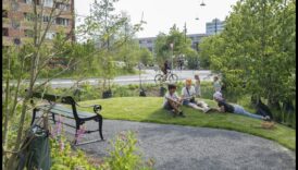 Πώς επηρεάζουν οι πολιτιστικές πρακτικές τη διατήρηση των αστικών πράσινων τοπίων;