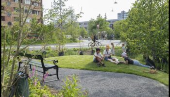 Πώς επηρεάζουν οι πολιτιστικές πρακτικές τη διατήρηση των αστικών πράσινων τοπίων;