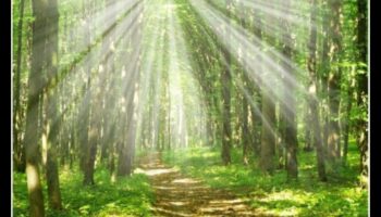 Guardian Lands Revisited: Protected Natural Areas Worldwide