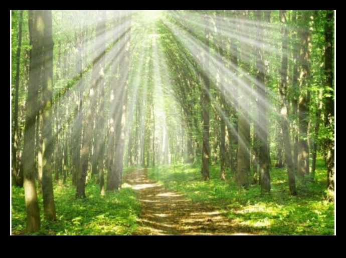 Nature's Sanctuaries 11 Guardian Lands Revisited: Protected Natural Areas Worldwide